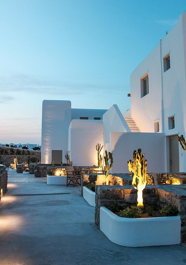 Mykonos Cactus